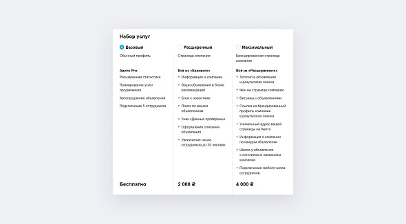 Как продвигать бизнес на Авито