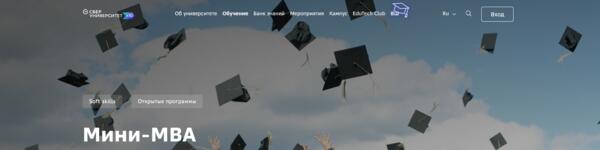 Что это такое – Mini MBA образование