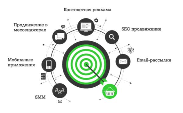 Как развивать свой бизнес: стратегия, основные принципы и этапы